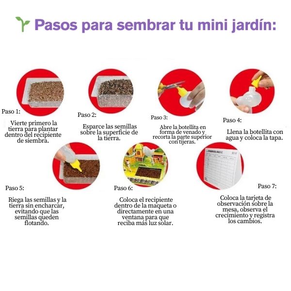 Mini Rainbow House: Arma, Planta y Vive la Magia Natural en Miniatura