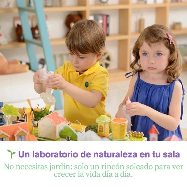 Mini Rainbow House: Arma, Planta y Vive la Magia Natural en Miniatura