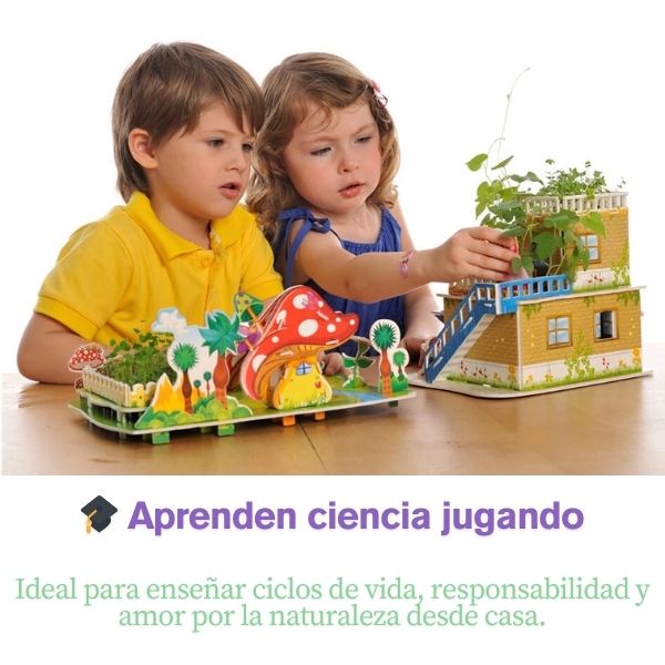 Mini Rainbow House: Arma, Planta y Vive la Magia Natural en Miniatura