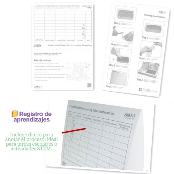 Mini Rainbow House: Arma, Planta y Vive la Magia Natural en Miniatura